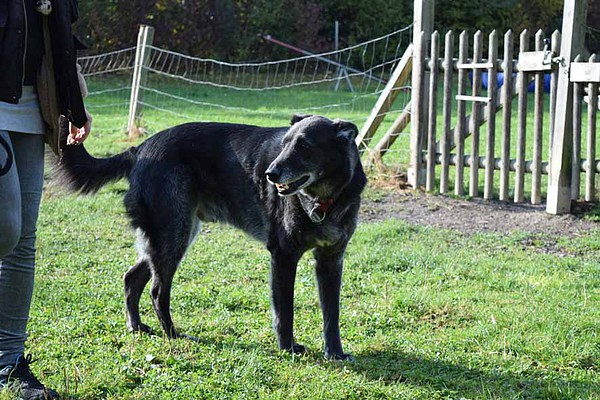 med_Co-Referent Luis.JPG (600 x 400)